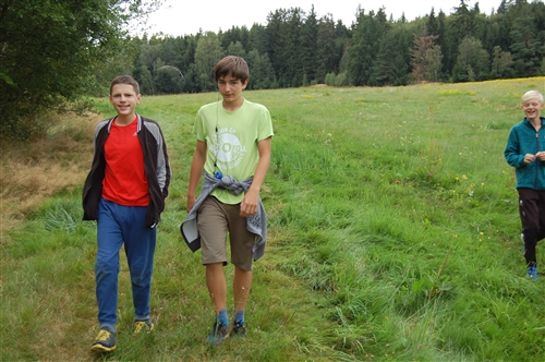 Obrázek v galerii